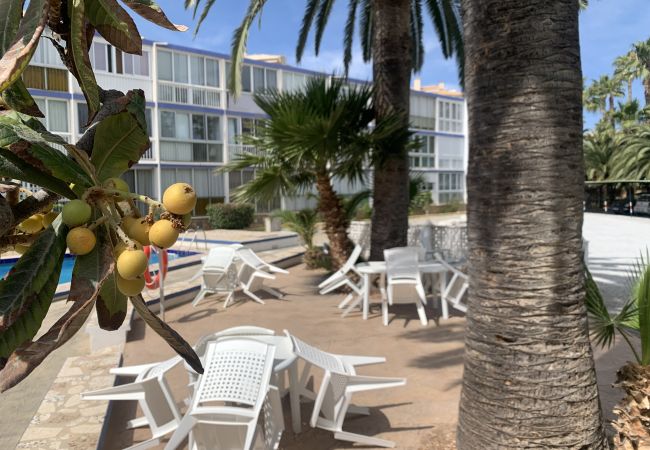 Apartamento en Albir - Sun and sea, Apartment for rest in Playa Albir, Co Apartamento en Albir - Sun and sea, Apartment for rest in Playa Albir, Co