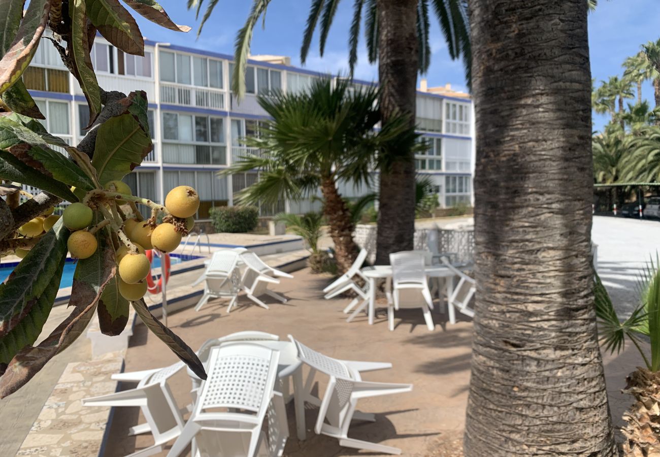 Apartamento en Albir - Sun and sea, Apartment for rest in Playa Albir, Co Apartamento en Albir - Sun and sea, Apartment for rest in Playa Albir, Co