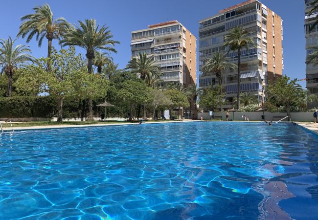 Apartamento en El Campello - Apartamento Bahia Azul junto a Playa Muchavista, E