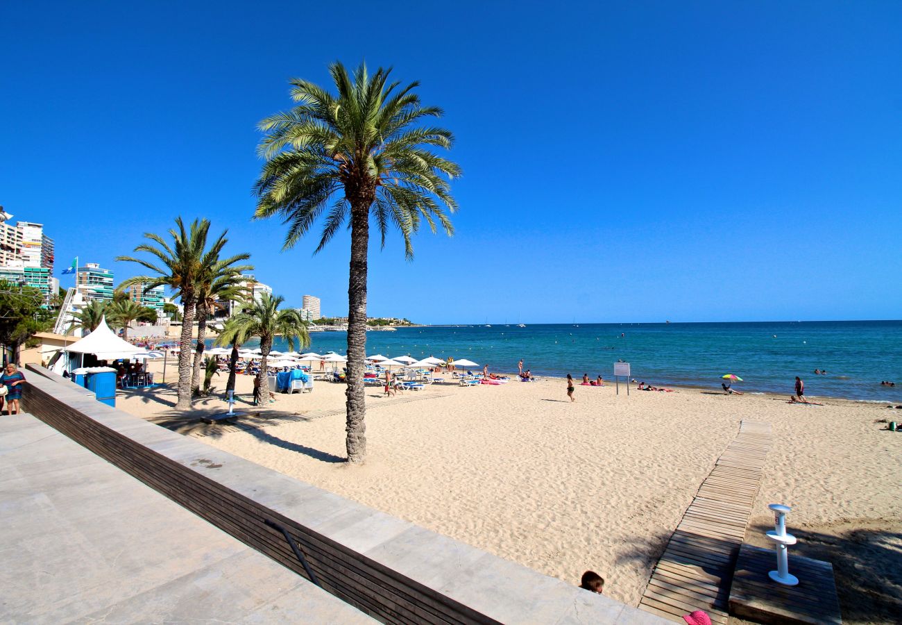 Apartment in Alicante / Alacant - APARTAMENTO VORAMAR Apartment in Alicante / Alacant - APARTAMENTO VORAMAR