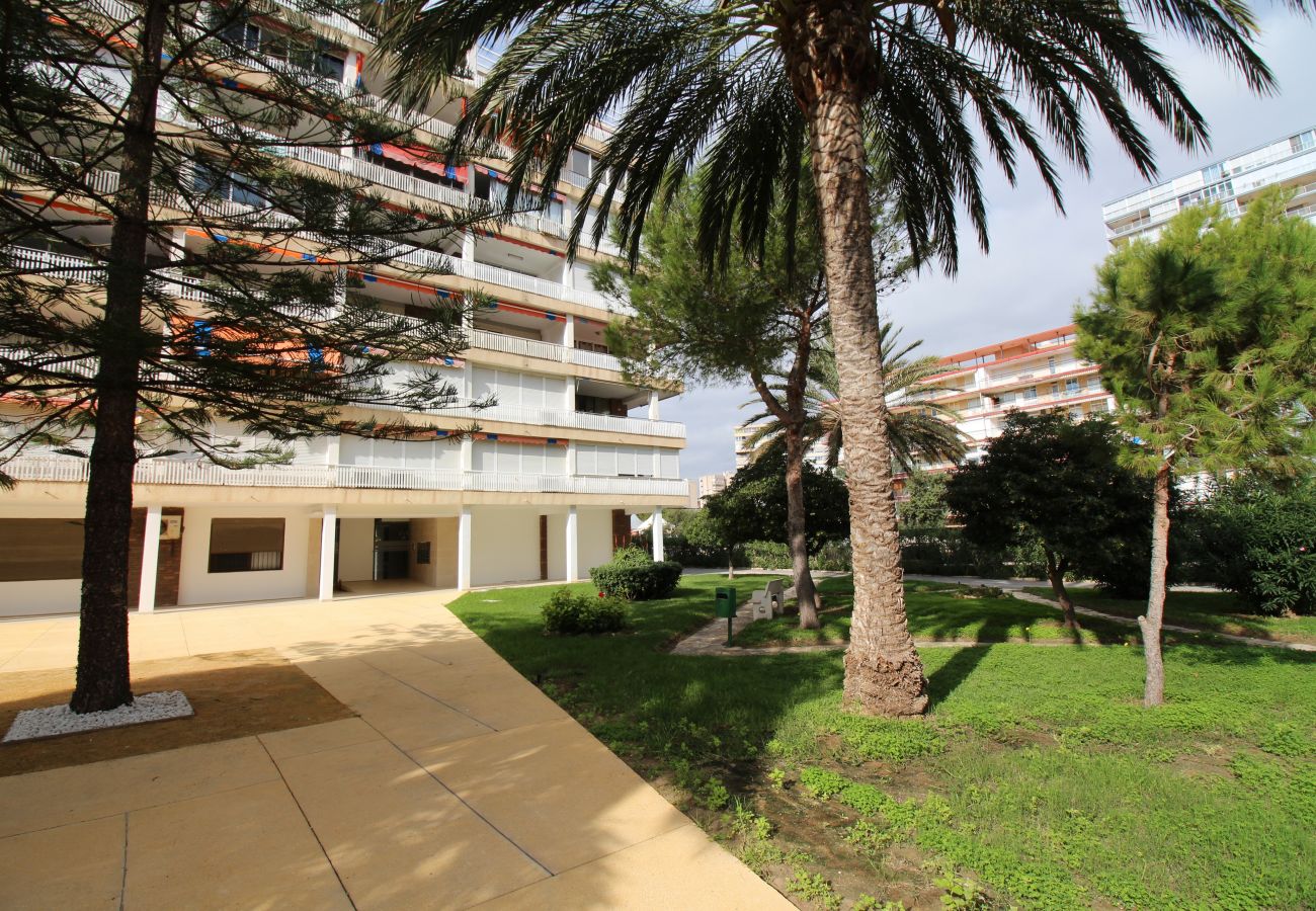 Apartment in Alicante / Alacant - APARTAMENTO PLAYA DE SAN JUAN