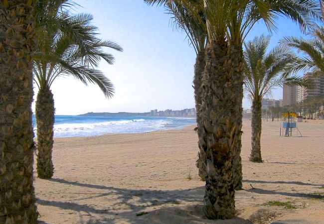 Apartment in El Campello - ESTUDIO PLAYA MUCHAVISTA Apartment in El Campello - ESTUDIO PLAYA MUCHAVISTA