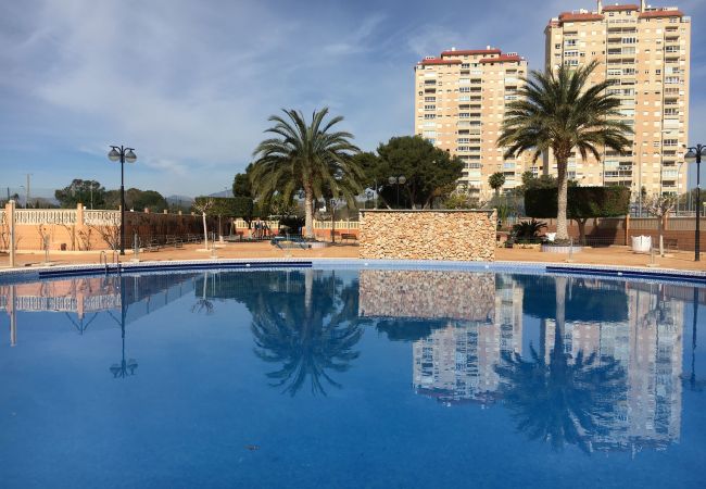 Apartment in El Campello - ESTUDIO PLAYA MUCHAVISTA Apartment in El Campello - ESTUDIO PLAYA MUCHAVISTA