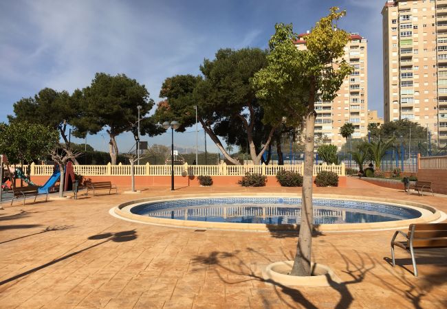 Apartment in El Campello - ESTUDIO PLAYA MUCHAVISTA Apartment in El Campello - ESTUDIO PLAYA MUCHAVISTA