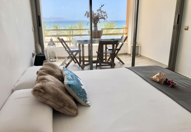 Apartment in El Campello - ESTUDIO PLAYA MUCHAVISTA Apartment in El Campello - ESTUDIO PLAYA MUCHAVISTA
