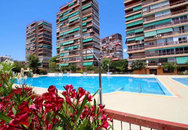  in Alicante - Apartment near La Almadraba Beach, Alicante