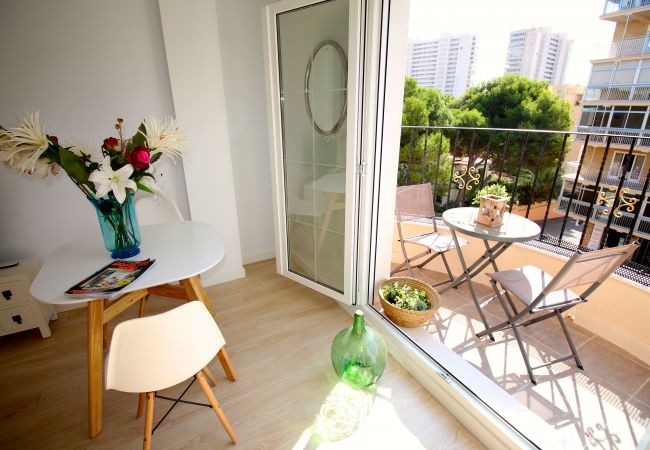 Studio in El Campello - APARTAMENTO SOL Y LUZ 2 Studio in El Campello - APARTAMENTO SOL Y LUZ 2