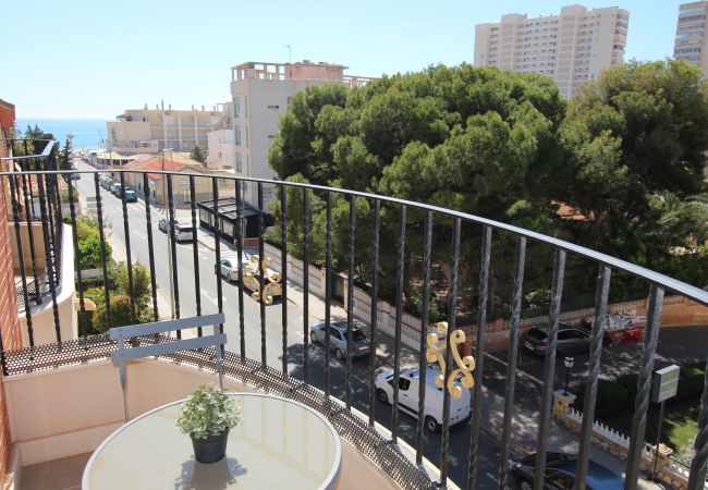 Studio in El Campello - APARTAMENTO SOL Y LUZ 2 Studio in El Campello - APARTAMENTO SOL Y LUZ 2