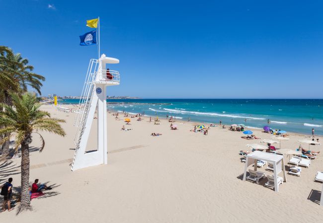 Studio in Alicante / Alacant - LOFT POSTIGUET BEACH Studio in Alicante / Alacant - LOFT POSTIGUET BEACH
