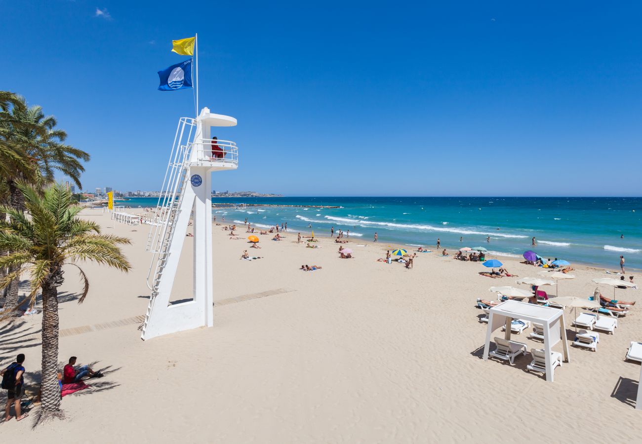 Studio in Alicante / Alacant - LOFT POSTIGUET BEACH Studio in Alicante / Alacant - LOFT POSTIGUET BEACH
