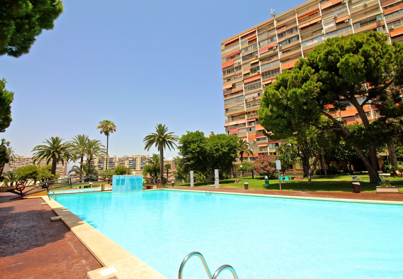 Apartment in Cabo Huertas - URBANIZACION CON GRAN PISCINA Y  ZONAS VERDES CERC