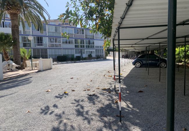 Apartment in Albir - Sun and sea, Apartment for rest in Playa Albir, Co Apartment in Albir - Sun and sea, Apartment for rest in Playa Albir, Co