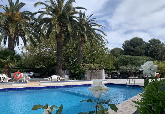 Apartment in Albir - Sun and sea, Apartment for rest in Playa Albir, Co Apartment in Albir - Sun and sea, Apartment for rest in Playa Albir, Co