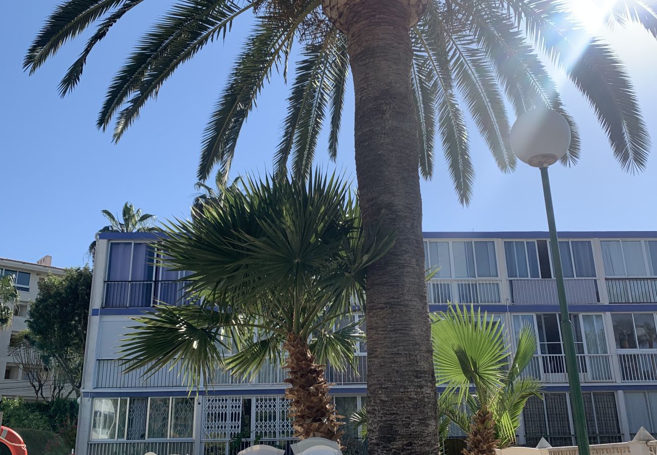 Apartment in Albir - Sun and sea, Apartment for rest in Playa Albir, Co Apartment in Albir - Sun and sea, Apartment for rest in Playa Albir, Co