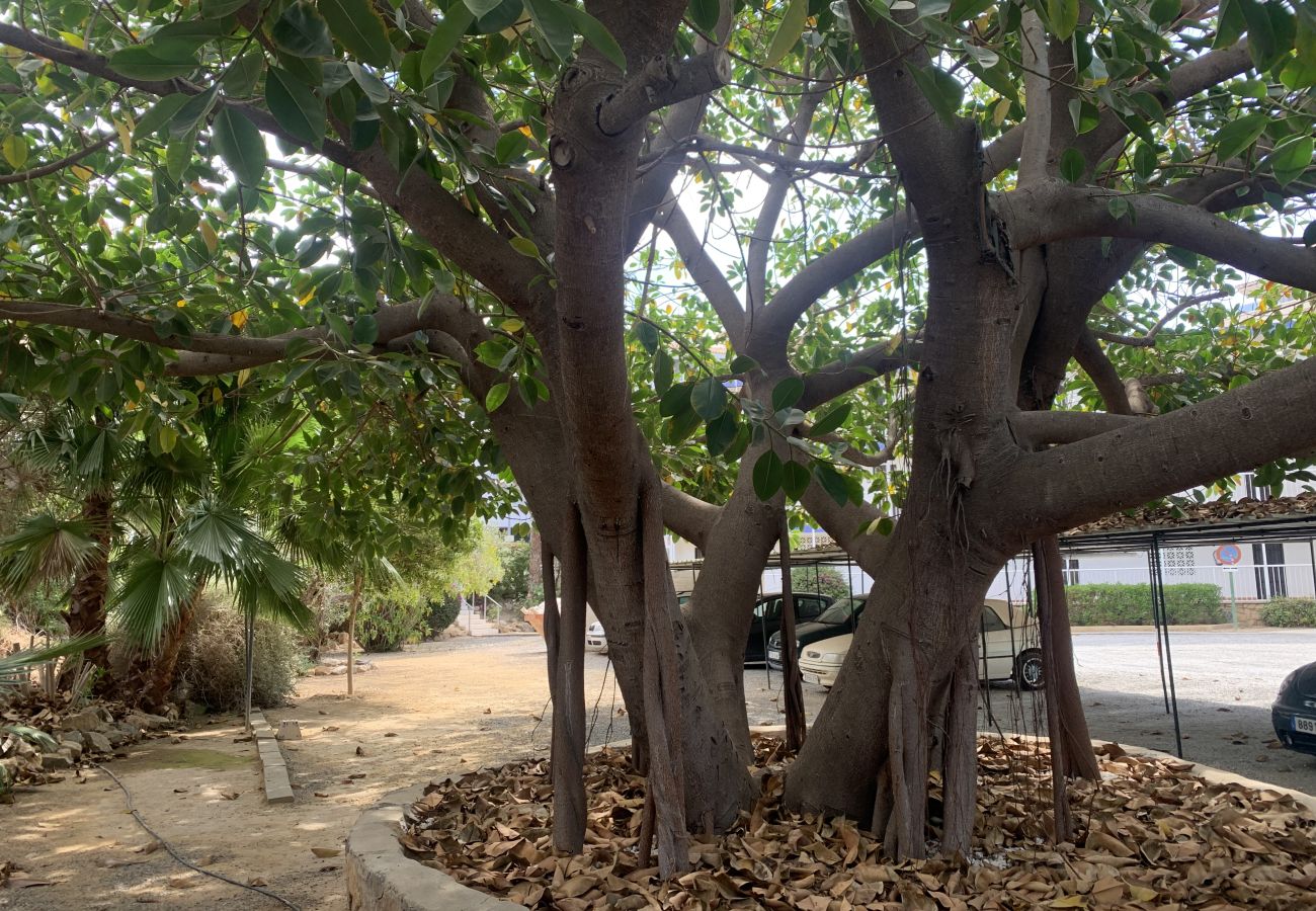 Apartment in Albir - Sun and sea, Apartment for rest in Playa Albir, Co Apartment in Albir - Sun and sea, Apartment for rest in Playa Albir, Co