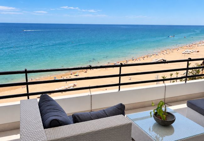 Studio in El Campello - Studio Muchavista Beachfront · Sea Views